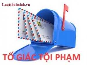 VPLS Thái Minh (3)